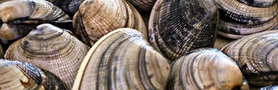 Stacks Image 12